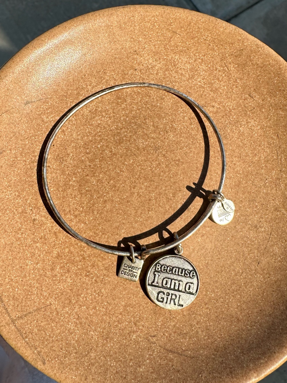 Alex and Ani Silver-Tone "Because I Am A Girl" Charm Bangle